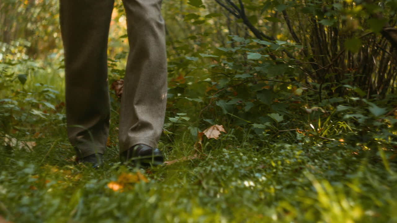 A person walking in a forest during autumn