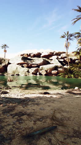 oasis in the desert