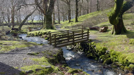 lente zonneschijn in het bos bij hassness met een beek die onder een voetgangersbrug stroomt naar het nabijgelegen buttermere in het lake district, cumbria, engeland