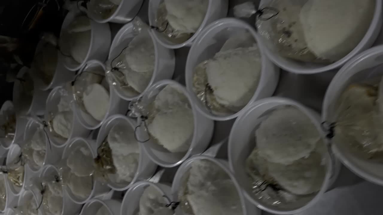 footage of steamed Idly sambar or Idli with Sambhar and green, and red chutney