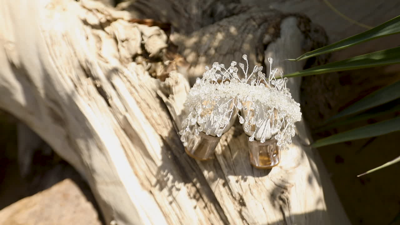 나무 줄기 에 결혼식 을 위한 은 신부 왕관 - 왼쪽 판