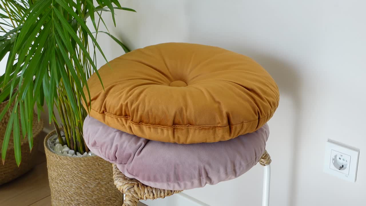 Round Cushions and Indoor Plant Home Decor