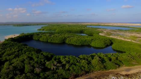 The-lagoon-and-mangroves-of-Lac-Bay-in-Bonaire,-Netherlands-Antilles