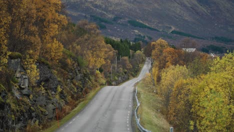 a narrow road follows the fjord coastline