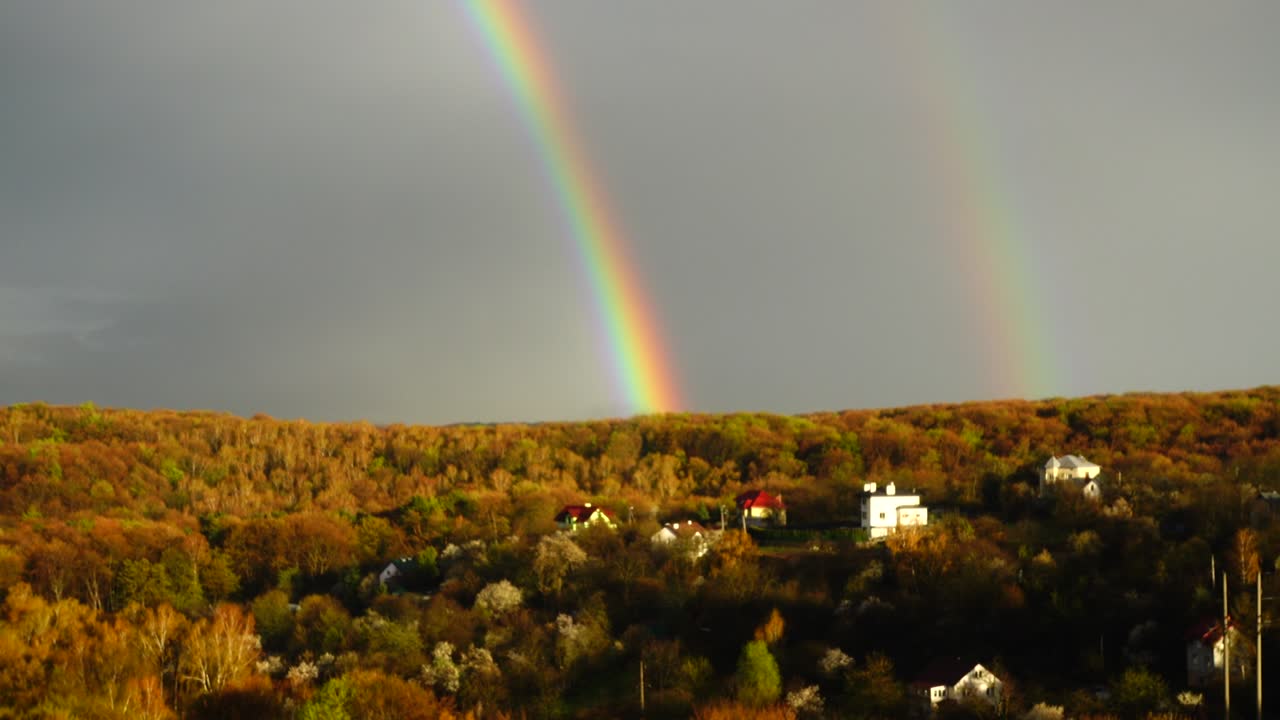 arco iris en el cielo después de la lluvia sobre el bosque.