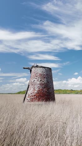 abandoned windmill pump in tall grassy wetland marshes vertical shot