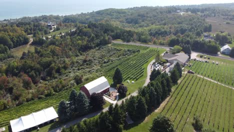 Aerial-orbit-of-huge-red-barn-on-vineyard