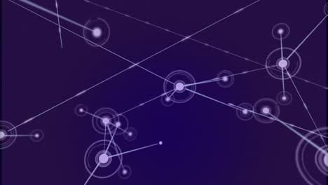 animación de redes de conexiones