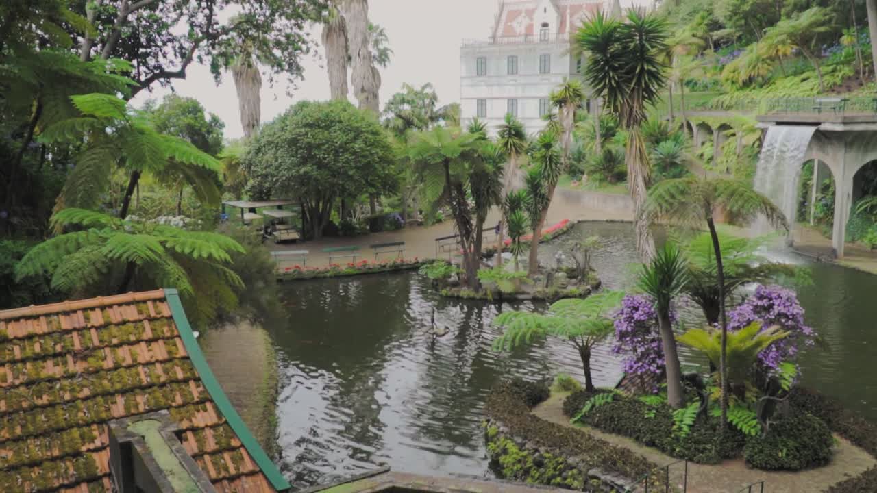 폭포 와 연못 이 있는 열대 정원