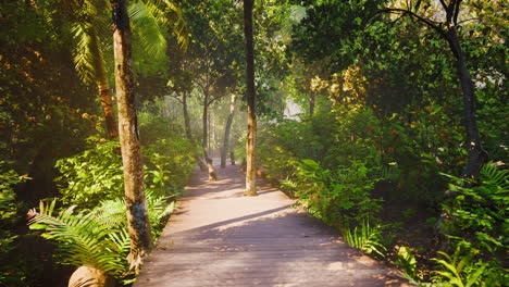 Wooden-deck-path-in-the-forest