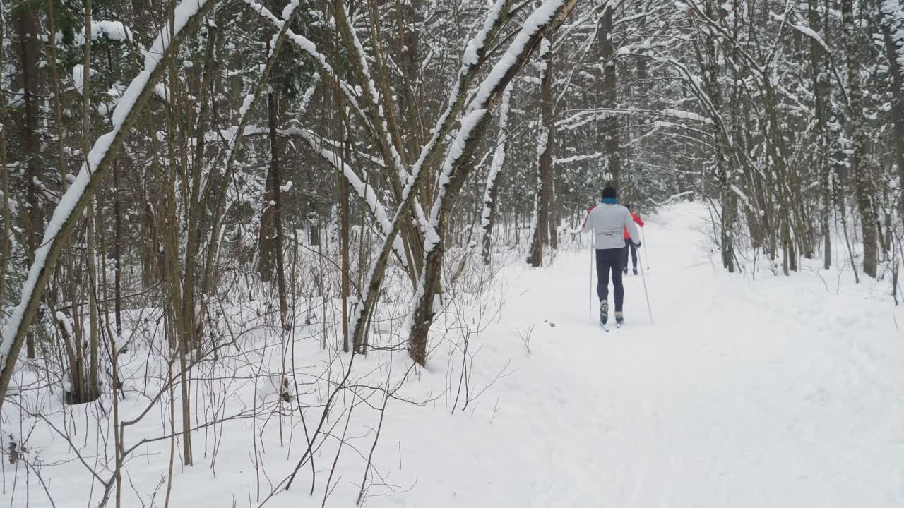 Couple skiing in the forest.