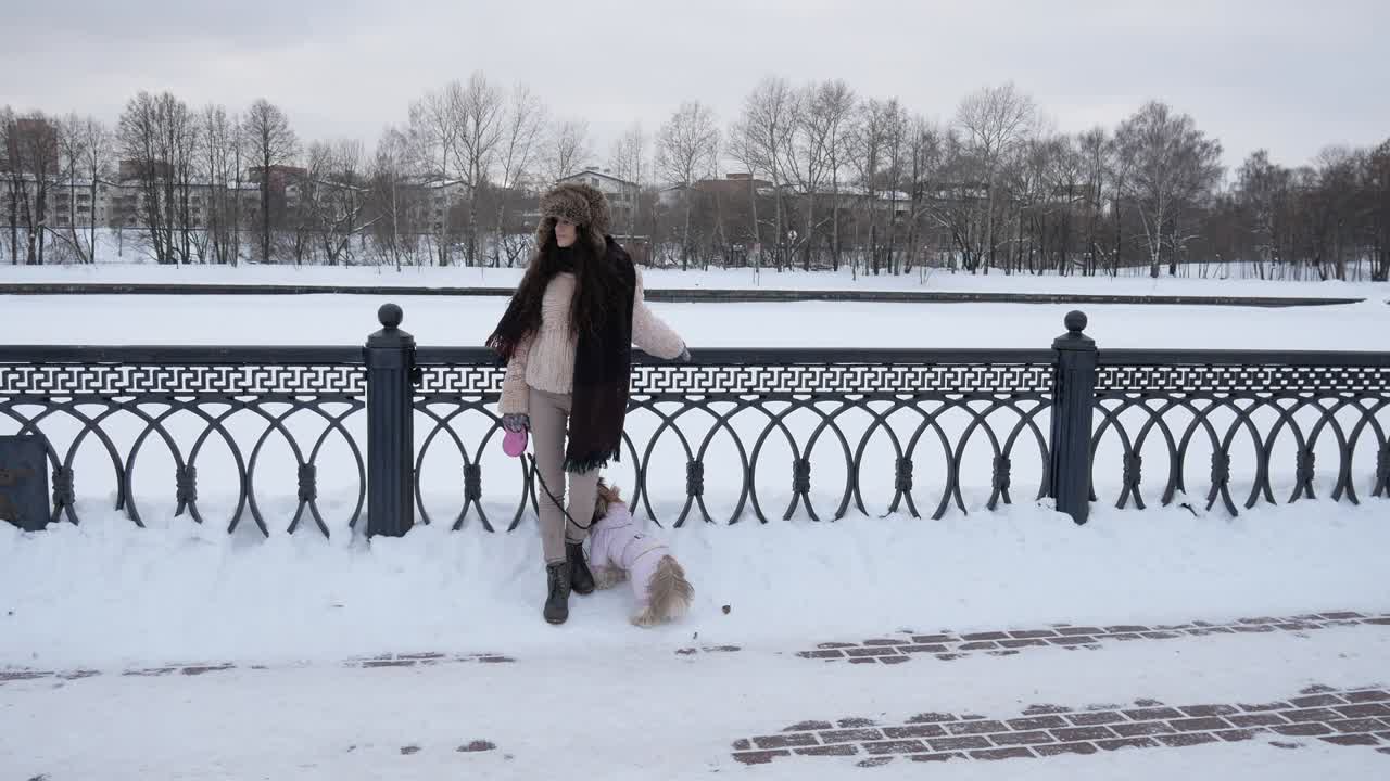 개와 함께 산책: 소녀는 개 shih tzu와 함께 겨울 공원을 걸어가고 있습니다.