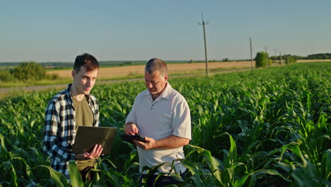 agricultores discutiendo datos de cultivos en un campo de maíz