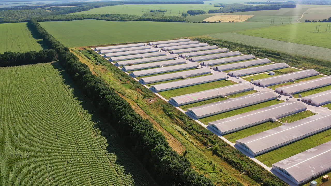 White long barns at the present-day farming complex. Agribusiness plant for breeding domestic animals aerial view. Green plantations backdrop.