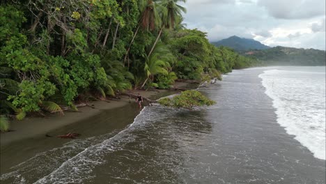 Hombre-Caminando-Sobre-El-Tronco-De-Un-árbol-En-La-Playa-Durante-La-Marea-Baja-En-Costa-Rica