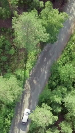 car driving on a forest road