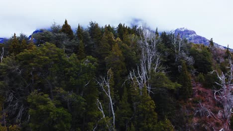 una secuencia aérea suave y sin prisa, a medida que la cámara asciende, revelando montañas generosamente adornadas con densos bosques, su verde esmeralda fusionándose sin problemas con el tranquilo lago