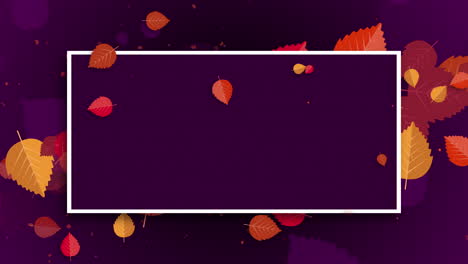 autumn color frame with red fallen tree leaves on purple background. looped animation.