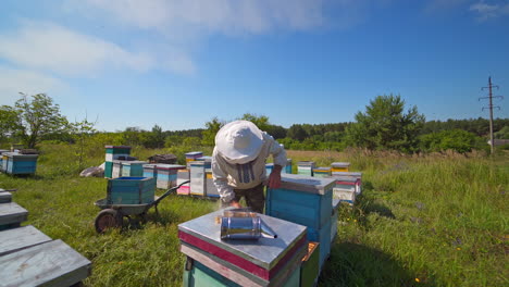 Apiary in a sunny day among nature. Beekeeper in protective hat checking beehives in summer. Bees carrying honey into hives. Apiculture concept.