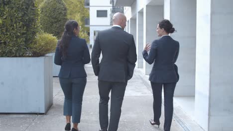 vista trasera de tres colegas caminando juntos en el edificio de oficinas y hablando