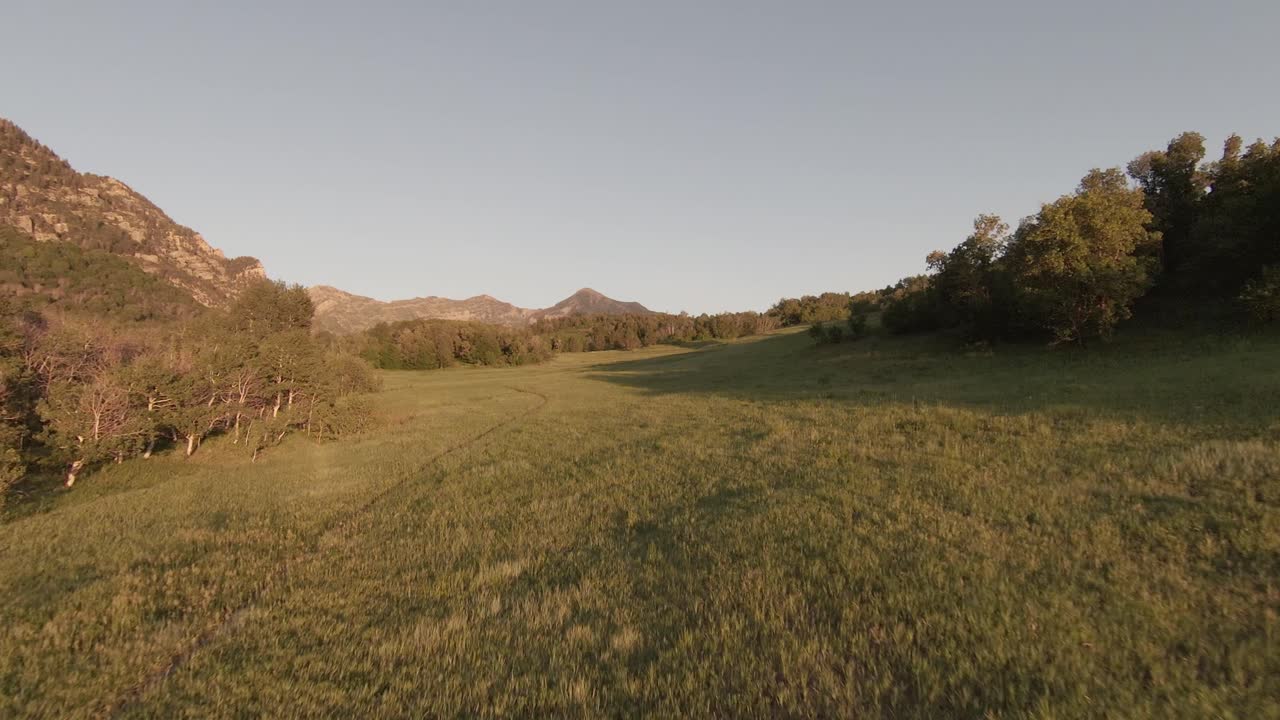 disparo aéreo rápido fpv volando a través de árboles y sobre un sendero a través de un campo de hierba en un valle montañoso durante la hora dorada cerca de provo utah