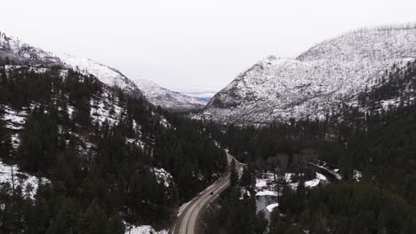 La-Elegía-De-La-Nieve:-La-Quietud-De-Los-Pinos-De-Montaña