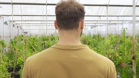 watering flowers in the greenhouse.