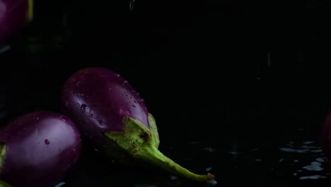 reversed footage of eggplants splashing down on black background