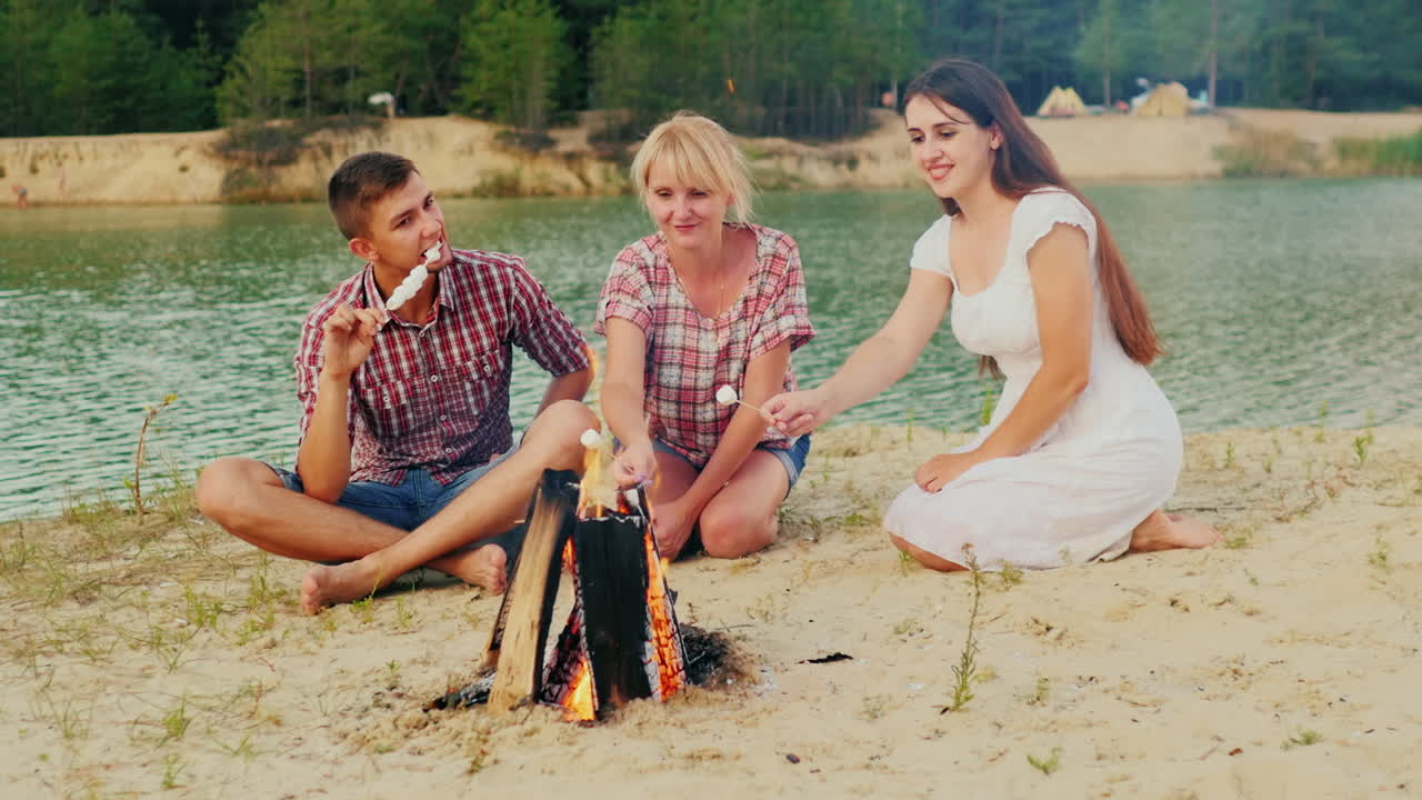 la compañía de amigos alrededor de la fogata asado de malvaviscos buen tiempo prores hq 422 10 bit cámara lenta