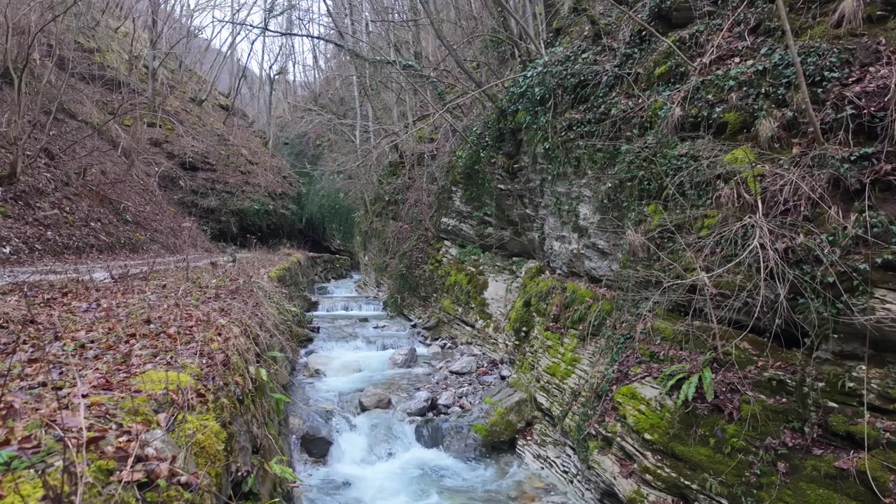 Gola di Driselpoh vicino a Podbrdo, Slovenia, con il torrente di montagna Koritnica che scorre tra rocce muschiose e foreste sotto ripide scogliere nel tardo inverno