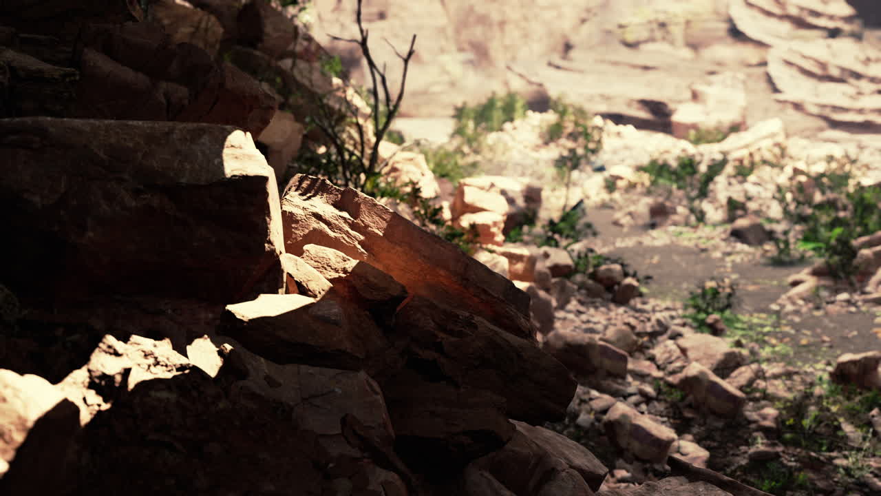 la vista dentro de la cueva de hadas con plantas