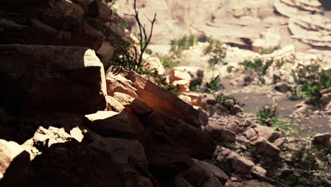 la vista dentro de la cueva de hadas con plantas