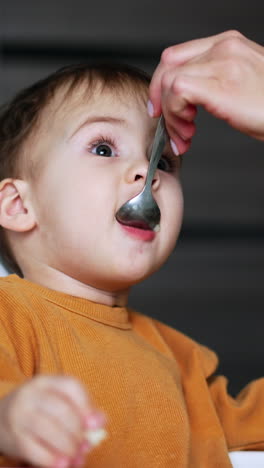 adorable face of a lovely baby eating porridge from spoon. feeding a kid at home. close up. blurred backdrop. vertical video
