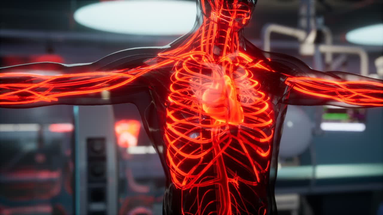 scansione anatomica dei vasi sanguigni umani