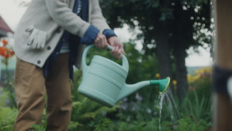 a person watering lush garden plants