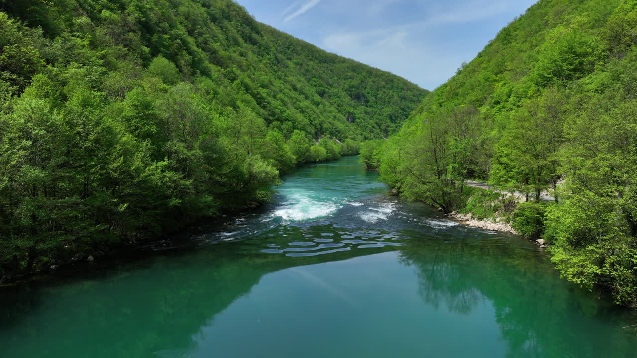 Vista aerea di un fiume verde vibrante che serpeggia attraverso una fitta foresta, con il fogliame della prima primavera.