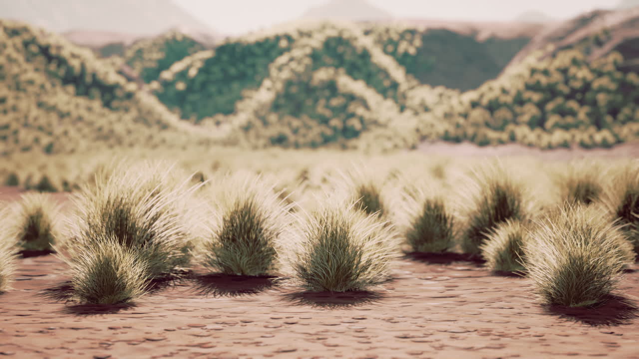 parque nacional del cañón de la roca roja