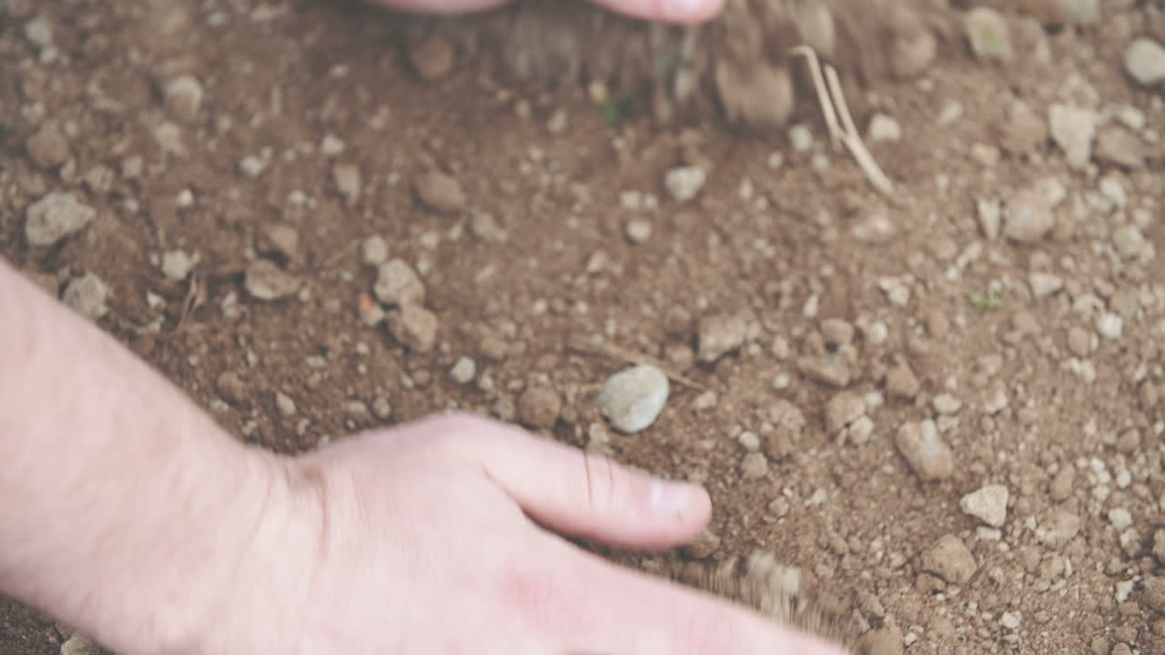 소수의 토양 농업 배경을 가진 농부