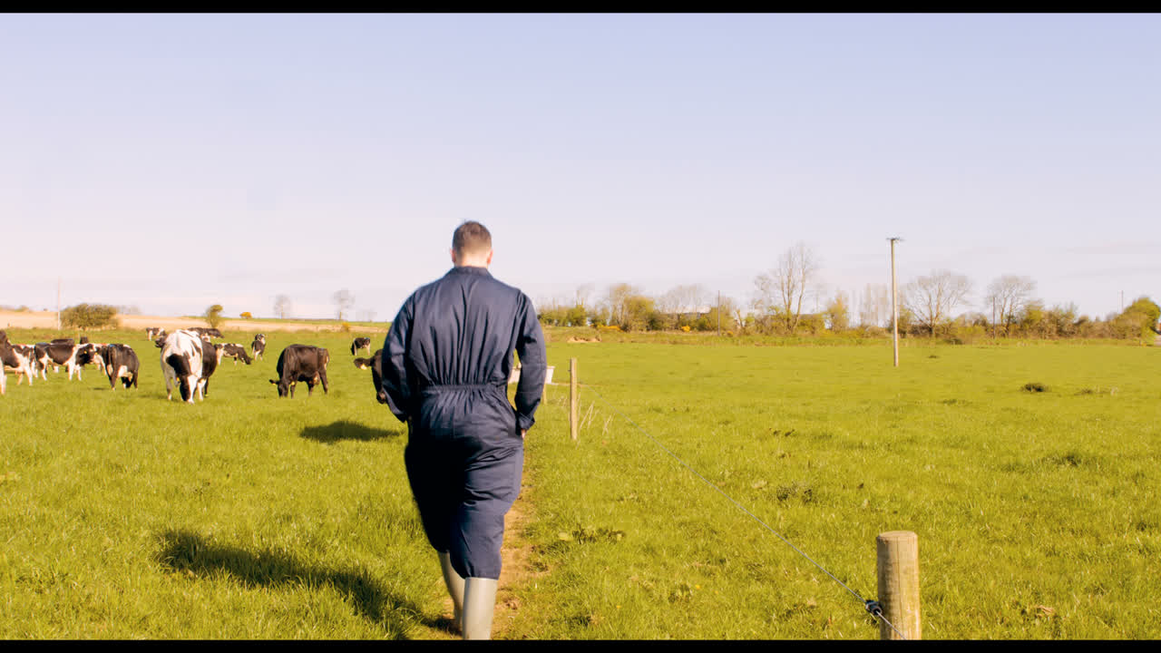 가축 농부 가  ⁇  에서  ⁇ 고 있다