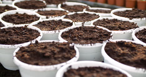 Potted-Plants-Hanging-At-Greenhouse