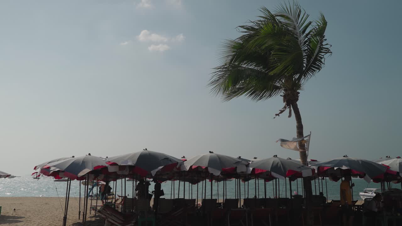 Beach Scene with Umbrellas and Palm Tree