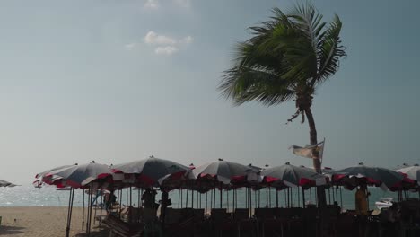 beach scene with umbrellas and palm tree