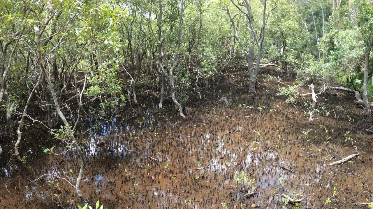 습지 지역이 건조하는 시간적 간격