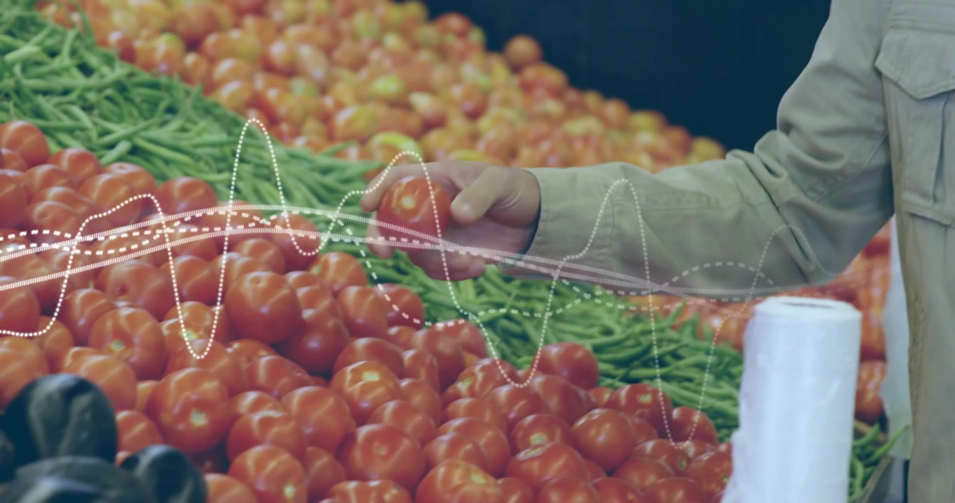 Mano destra che si protende, uomo che ispeziona un pomodoro per la maturazione al supermercato, tracciamento di una forma d'onda punteggiata.