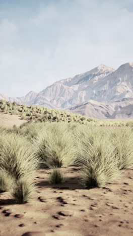 a view of a grassy desert landscape with mountains in the background