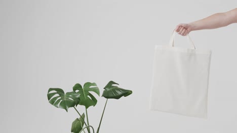 hand of caucasian woman holding white bag with plant on white background, copy space, slow motion