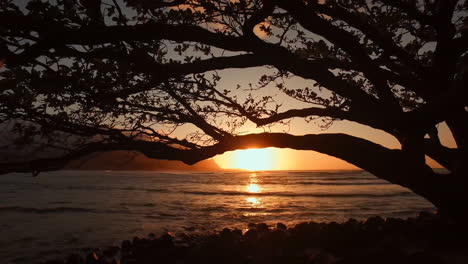 hanalei bay kauai hawaii at sunset through the trees