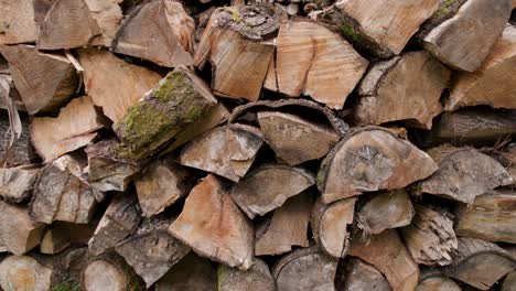 A neatly stacked pile of split wood