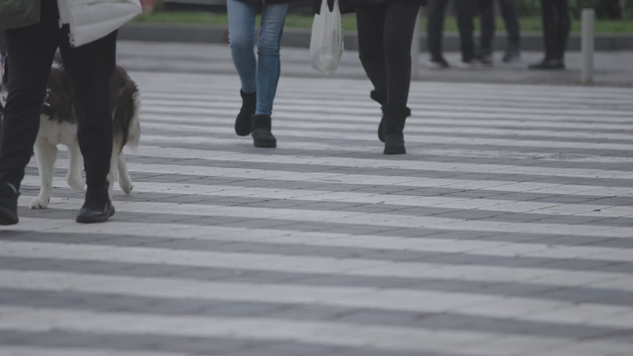 People walking on a crosswalk