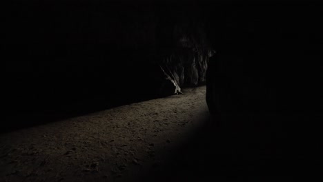 very dark cave by the ocean with light beaming through the end of the tunnel